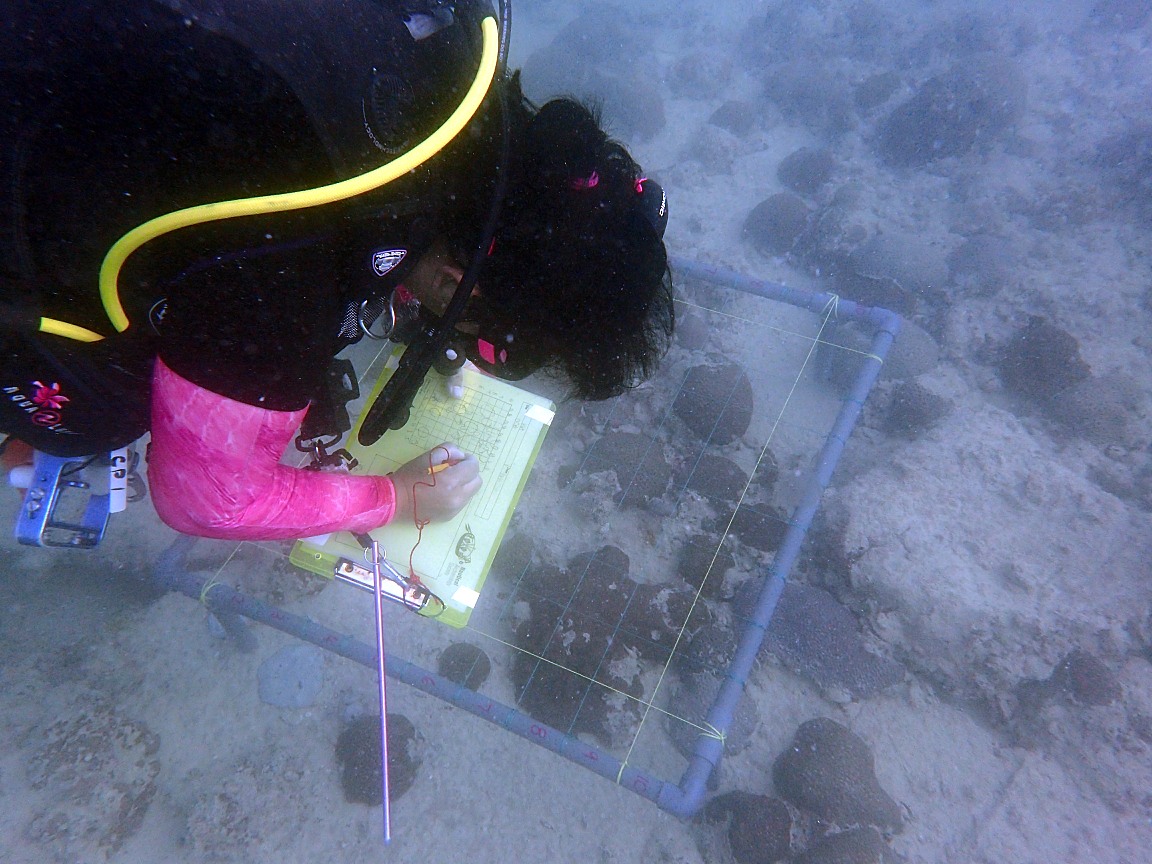  Underwater Recording   (photos - Dave Johnston)